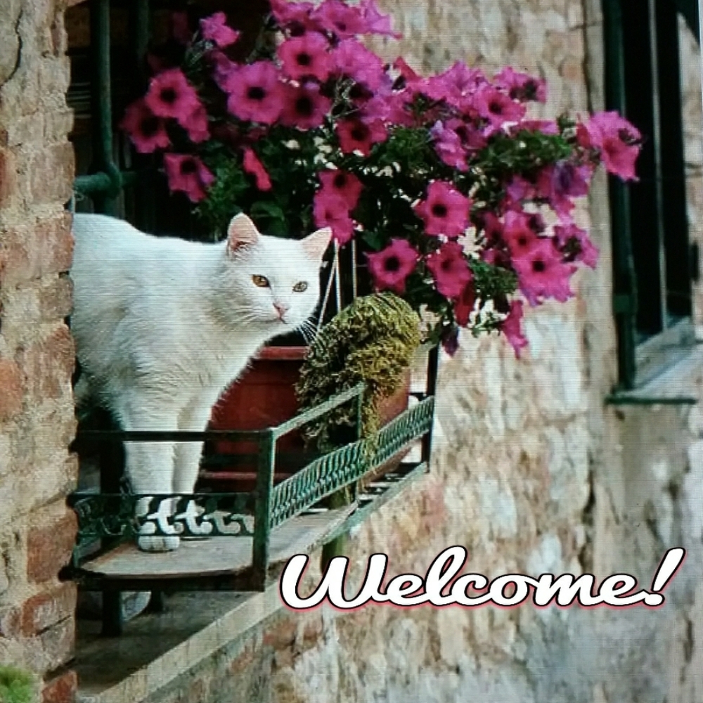WELCOME!